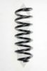 SPIDAN 56887 Coil Spring